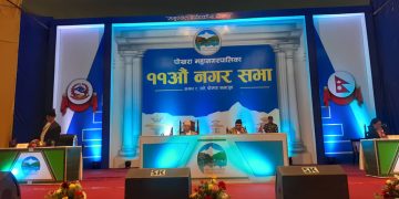 कुन महानगरको कस्तो बजेट?