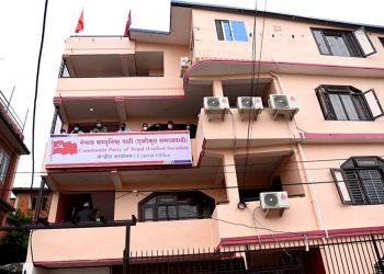 एकीकृत समाजवादी सरकारमा नजाने