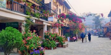 ढकमक्क फुलैफुलले बढायो बन्दीपुरको सौंदर्य