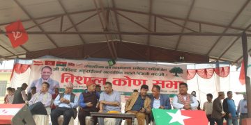 आफै उम्मेदवार बनेको ठानेर भटराईको पक्षमा मत हाल्नुस् ः  थापा