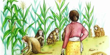 बाँदर आतङ्कले गाउँ रित्तिँदै