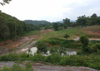 तनहुँमा कृत्रिम नारेश्वर  ताल बनाउने कामकाे सुरूवात