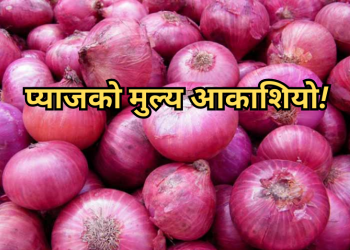 एक महिनामै प्याज ३२.८९ प्रतिशतले महंगियाे, बन्दा, साग र मूलाकाे पनि भाउ ह्वात्तै बढ्याे