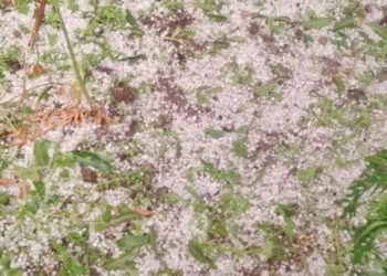 सुदूरपश्चिमका पहाडी जिल्लामा असिनापानी