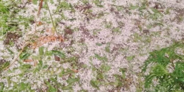 सुदूरपश्चिमका पहाडी जिल्लामा असिनापानी