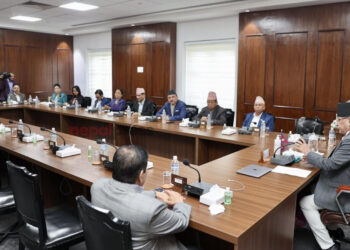 भूकम्पबाट घाइते भएकाहरुकाे सरकारले नि:शुल्क उपचार गर्ने