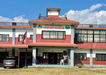 आत्मनिर्भर बनाउन महिलालाई तालिम