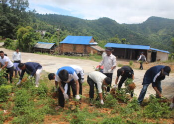 ऋषिङ्ग गाउँपालिकाका कर्मचारी द्धरा श्रमदान