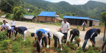 ऋषिङ्ग गाउँपालिकाका कर्मचारी द्धरा श्रमदान