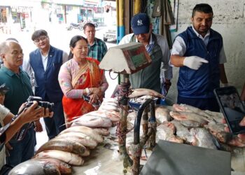 पोखराका फ्रेस हाउसमा कुहिएका माछामासु