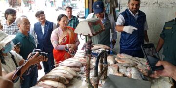 पोखराका फ्रेस हाउसमा कुहिएका माछामासु