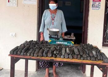 १६ किलो चरेससहित एक महिला पक्राउ