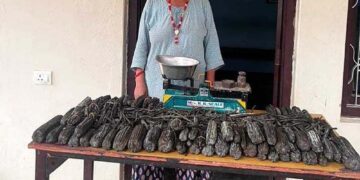 १६ किलो चरेससहित एक महिला पक्राउ