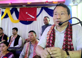 सरकारमा जान कुनै हतारो नरहेको उपमहासचिव पुनको दाबी