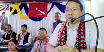 सरकारमा जान कुनै हतारो नरहेको उपमहासचिव पुनको दाबी