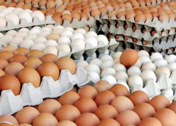 अण्डाको माग बढे सगैँ भाउ पनि बढ्यो