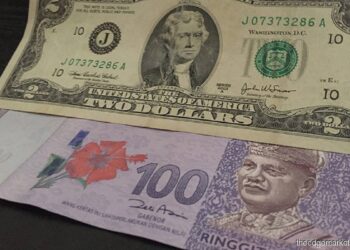 मलेसियन रिङ्गेट, अमेरिकी डलर