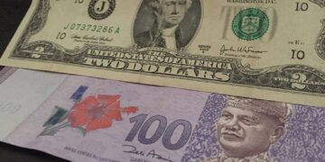 मलेसियन रिङ्गेट, अमेरिकी डलर