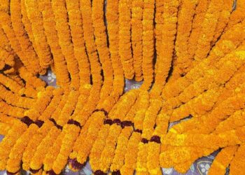 तनहुँमा उत्पादित माला कतार निर्यात