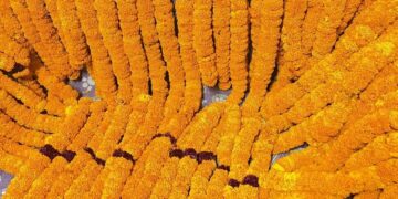 तनहुँमा उत्पादित माला कतार निर्यात