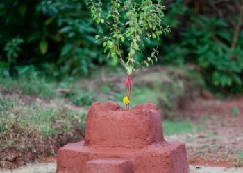 आज तुलसी र दामोदरको विवाहको दिन